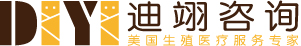 DIYI迪翊咨询